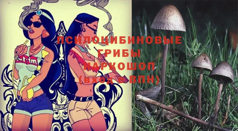 Галлюциногенные грибы Magic Shrooms  hydra ссылки  Верхняя Тура 